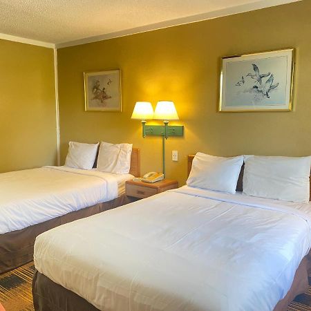Smokies Inn - New Linens & Ultrafast Wifi - Friendliest Hospitality Guaranteed! Kodak Extérieur photo